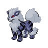 Shadow Arcanine
